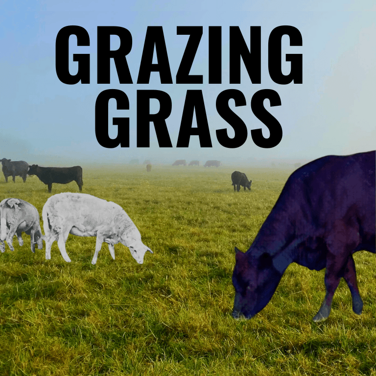 Grazing Grass Community Logo