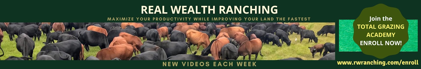 Jaime Elizondo/Real Wealth Ranching Logo