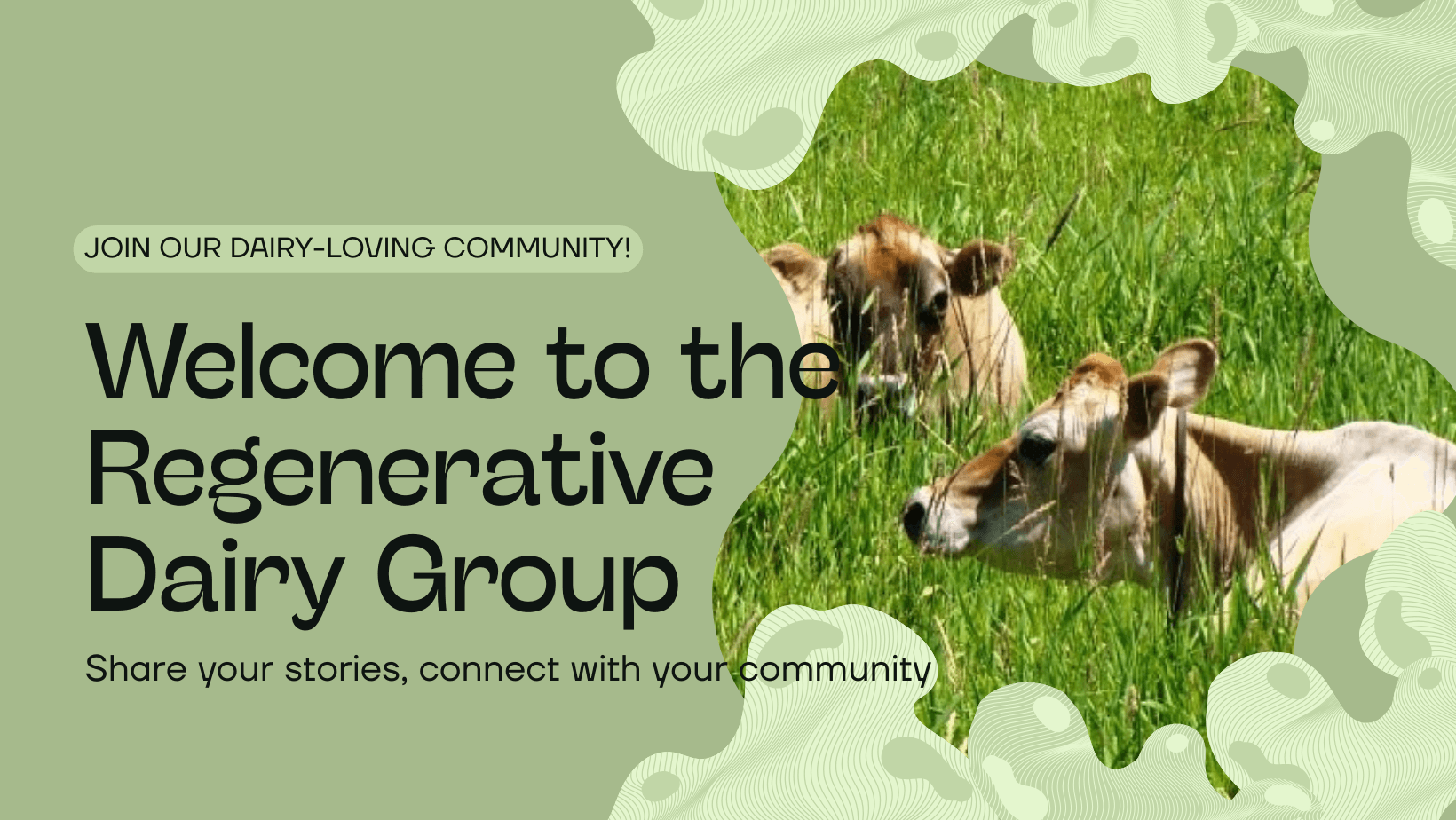 The Regenerative Dairy Logo